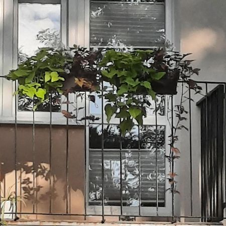 Apartament Jak W Domu Zamość Εξωτερικό φωτογραφία