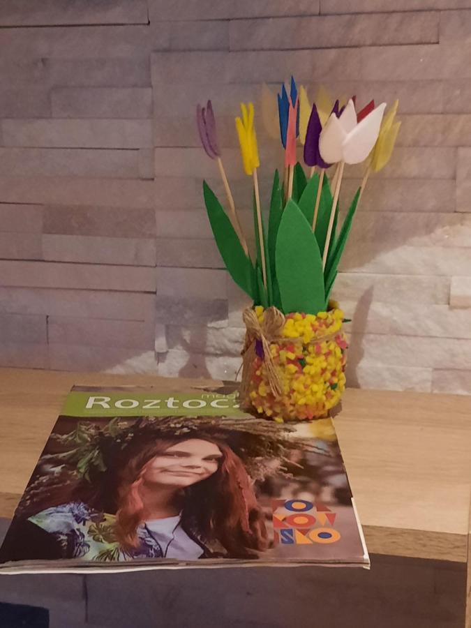 Apartament Jak W Domu Zamość Εξωτερικό φωτογραφία