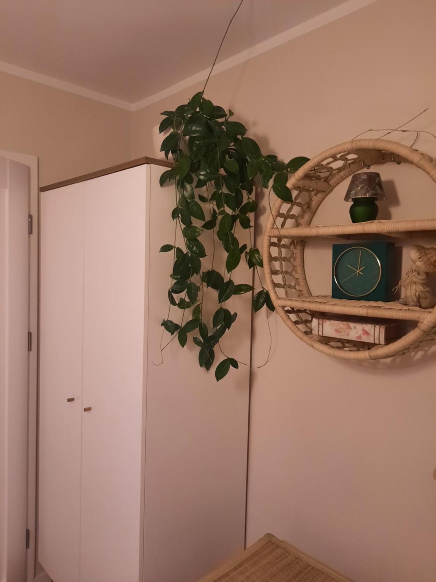 Apartament Jak W Domu Zamość Εξωτερικό φωτογραφία