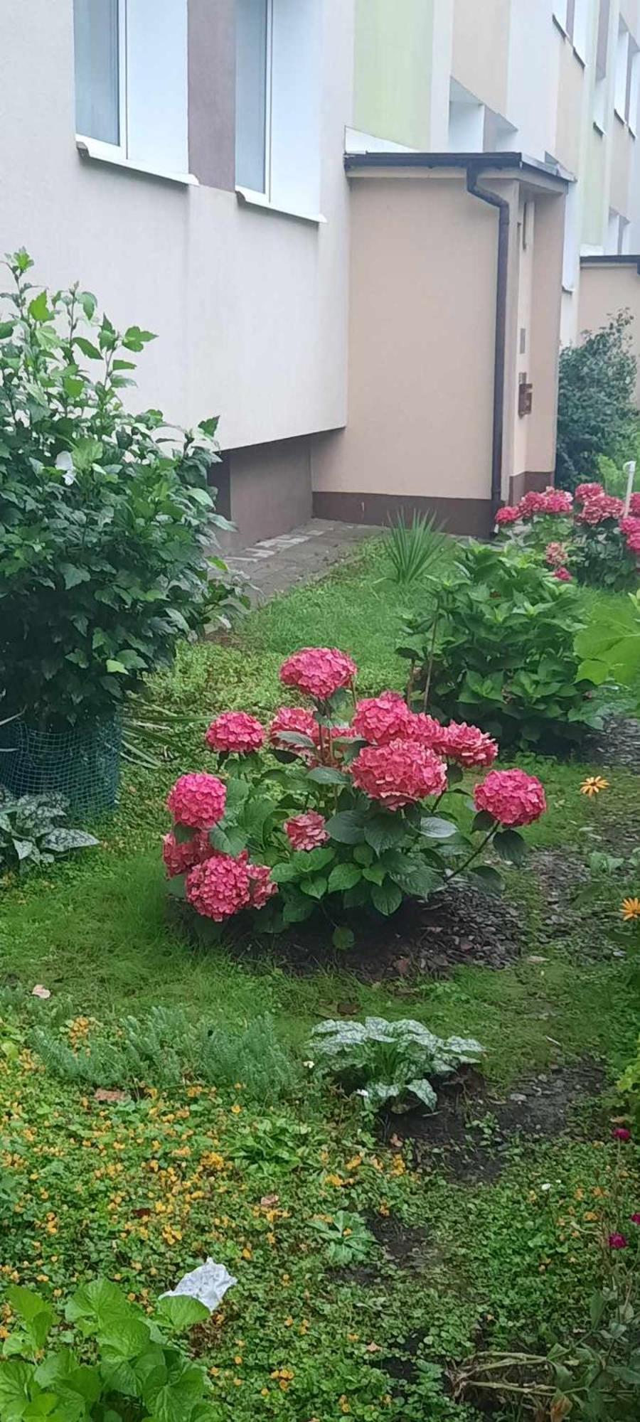 Apartament Jak W Domu Zamość Εξωτερικό φωτογραφία